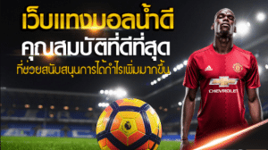 เว็บแทงบอลน้ำดี