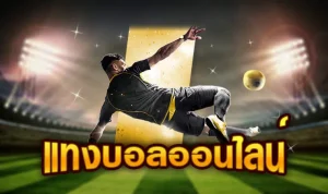แทงบอล เว็บแม่