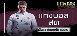 สมัคร แทงบอลสด